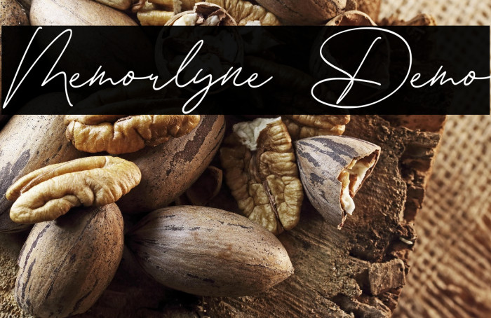 Memorlyne Demo Example 1