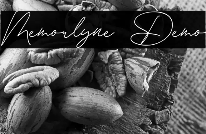 Memorlyne Demo Polices examples