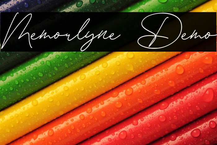 Memorlyne Demo Example 2