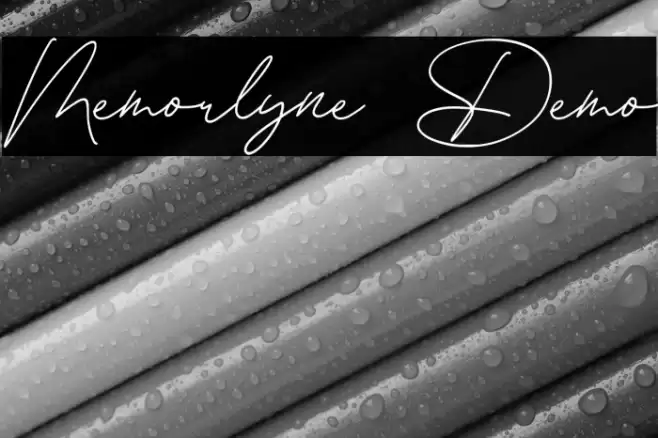 Memorlyne Demo Polices examples