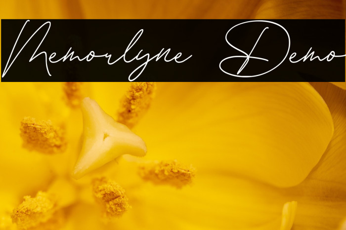 Memorlyne Demo Example 3