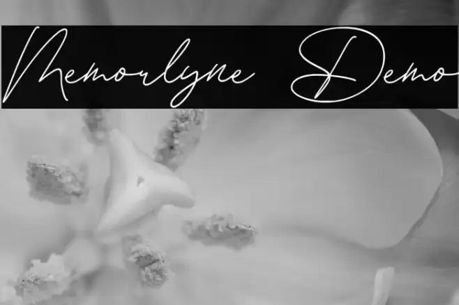 Memorlyne Demo Polices examples
