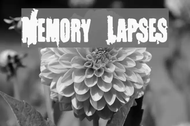Memory Lapses Font examples