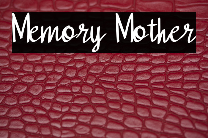 Memory Mother Example 3