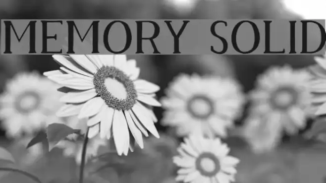 Memory Solid Example 1