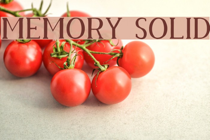 Memory Solid Font examples