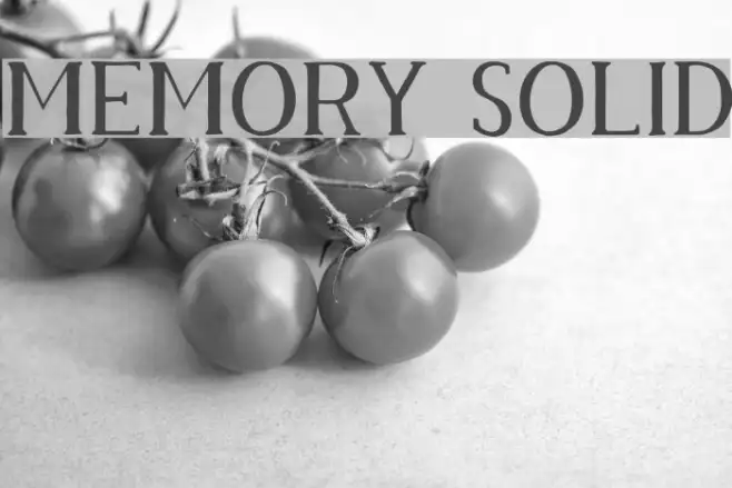 Memory Solid Example 2