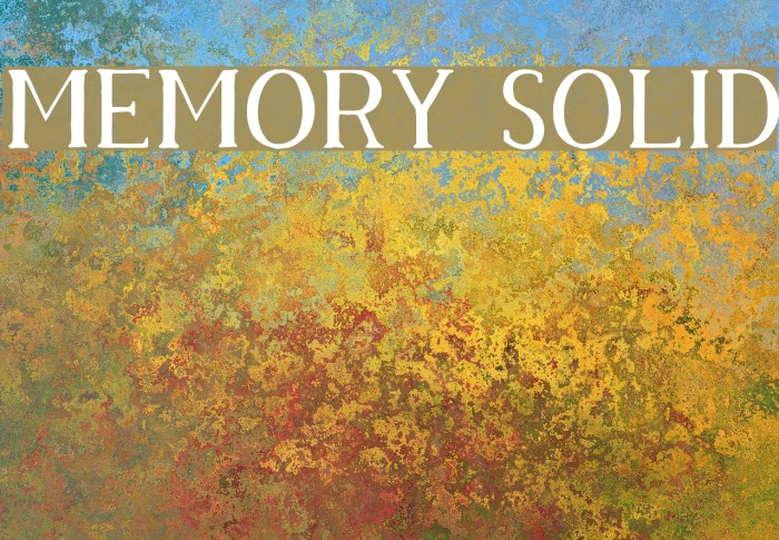 Memory Solid Font examples