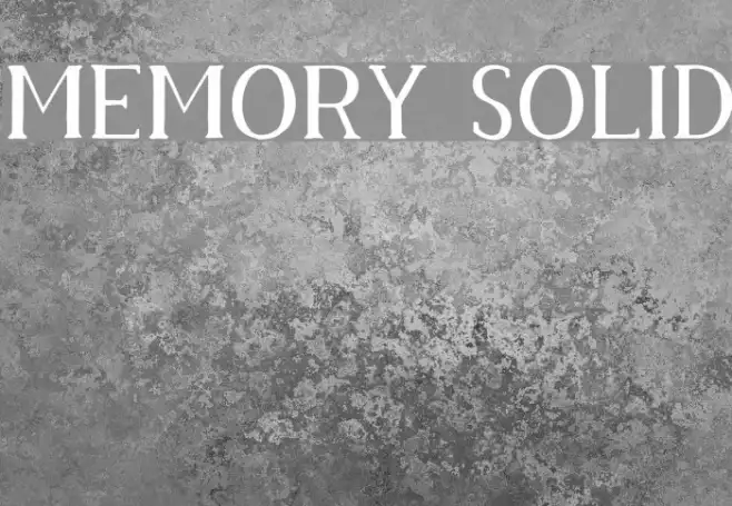Memory Solid Example 3
