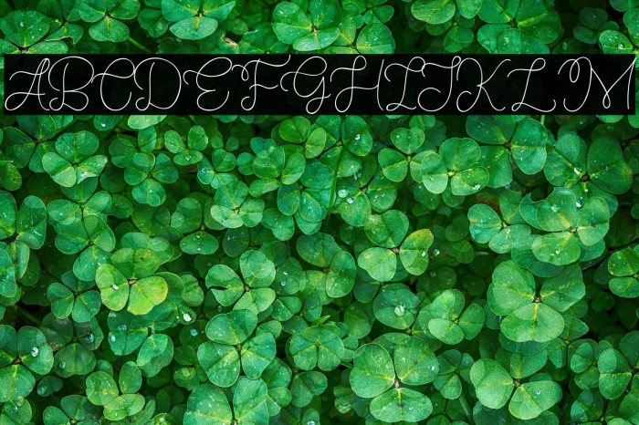 Memory of 2018 Example 2