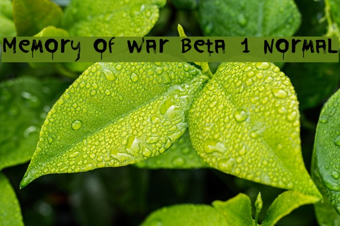 Memory of War Beta 1 Normal Example 2