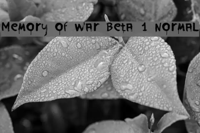 Memory of War Beta 1 Normal Font examples