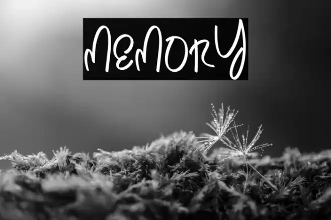 Memory Fuentes examples