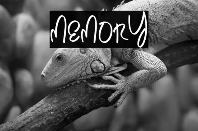 Memory Fuentes examples