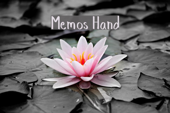 Memos Hand Example 1