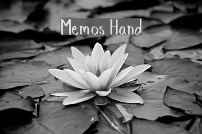 Memos Hand Font examples