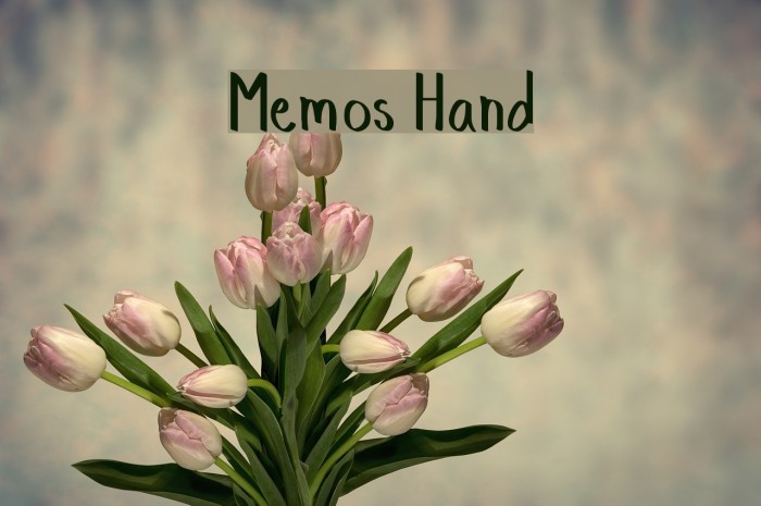 Memos Hand Example 3