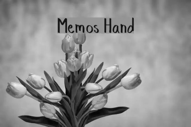Memos Hand Font examples