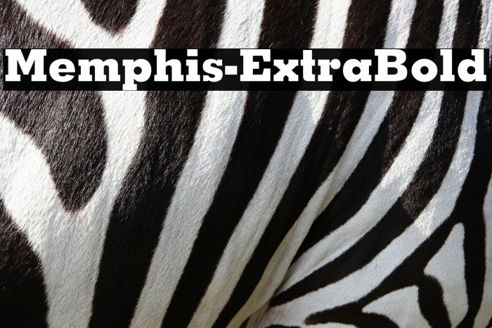 Memphis-ExtraBold Font examples