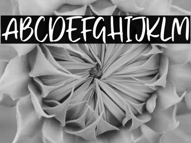 Memphis River Font examples