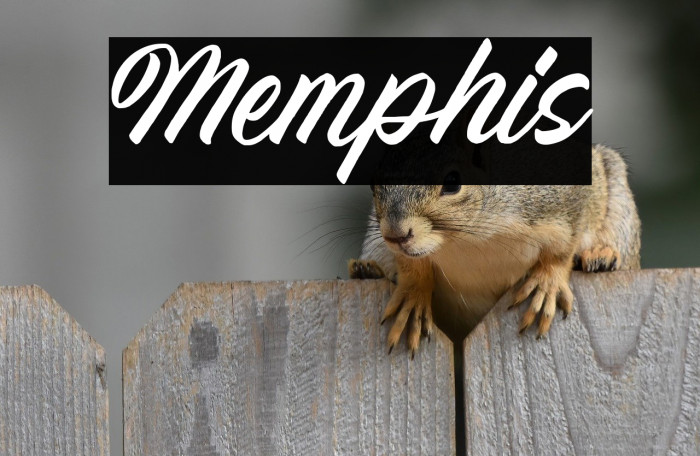 Memphis Example 1