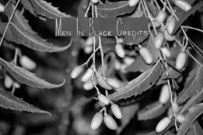 Men In Black Credits Font examples