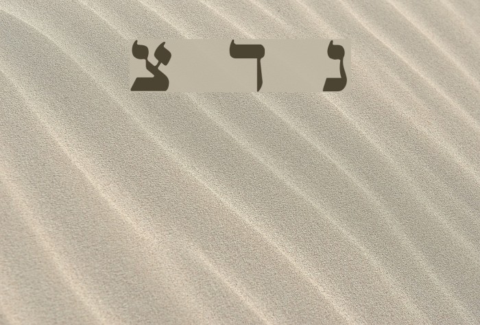 Mendel Siddur Bold Example 2