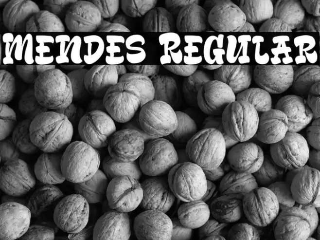 Mendes Regular Example 1