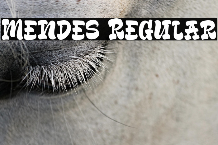 Mendes Regular Example 3