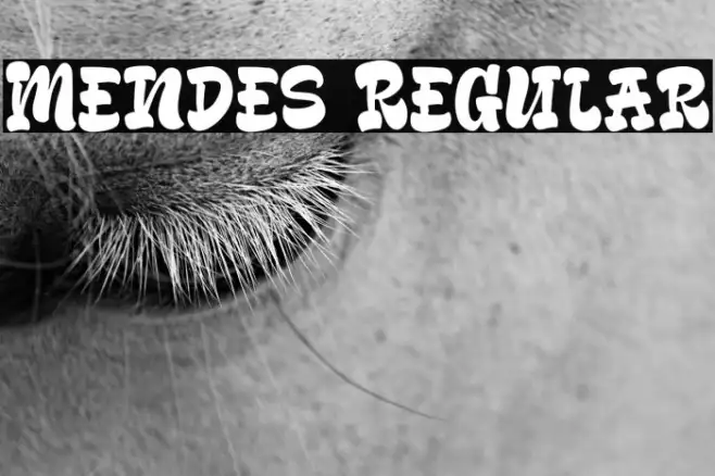 Mendes Regular Example 3