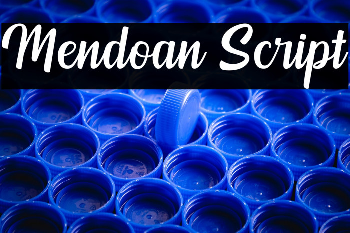 Mendoan Script Example 1