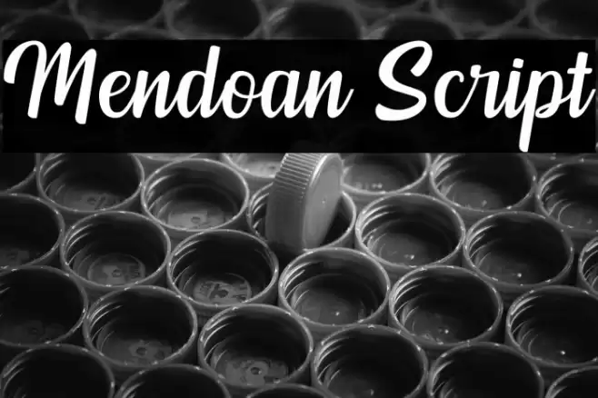 Mendoan Script Font examples