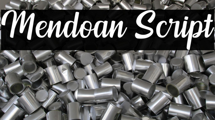 Mendoan Script Example 2
