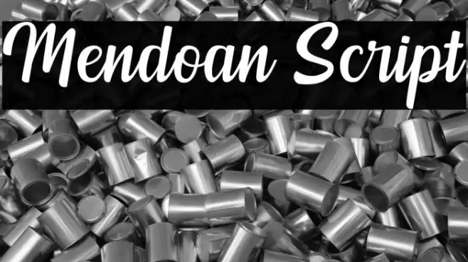 Mendoan Script Font examples