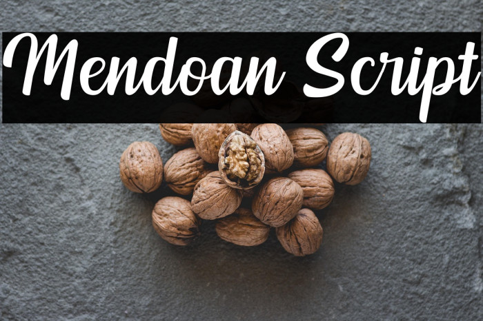 Mendoan Script Example 3