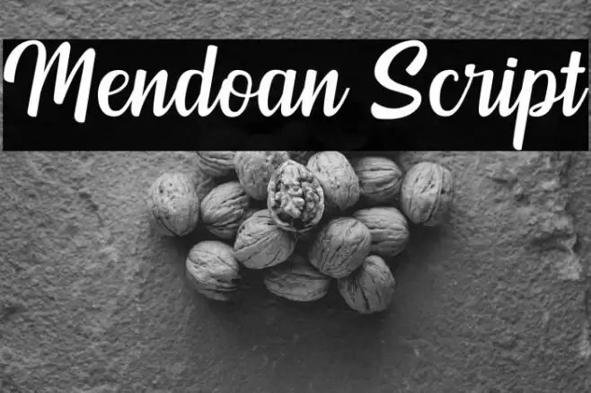 Mendoan Script Font examples