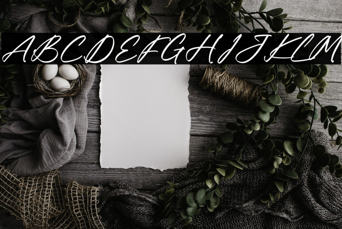 Mendoja Browning Example 1