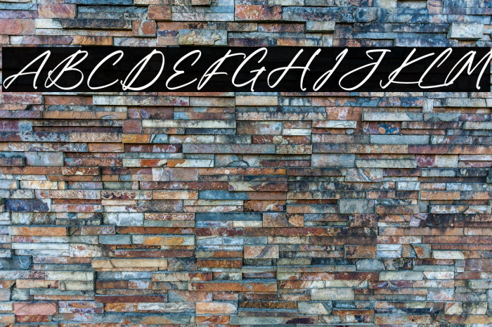 Mendoja Browning Example 3