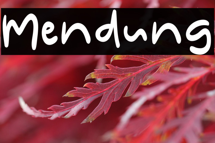 Mendung Example 1