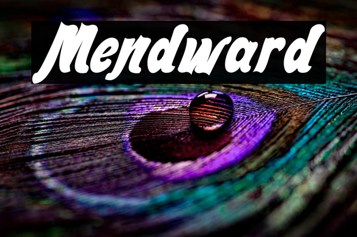 Mendward Example 1