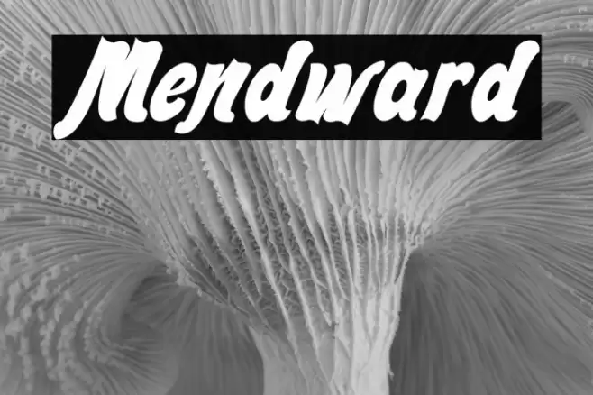 Mendward Font examples