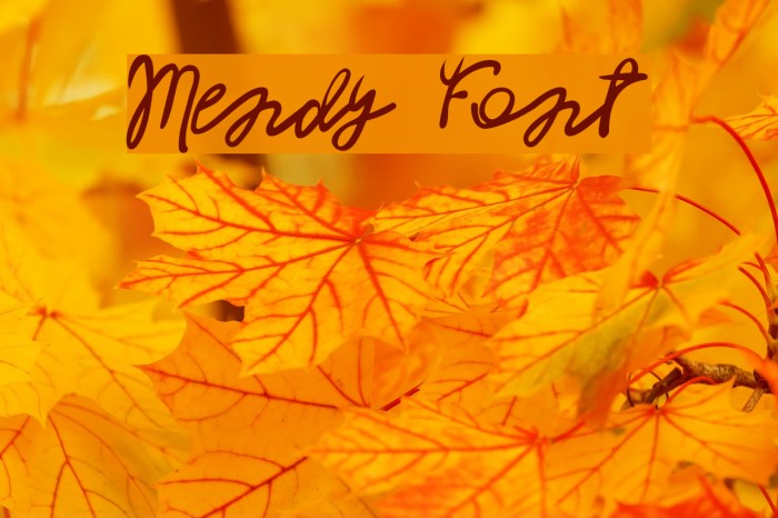 Mendy Font examples