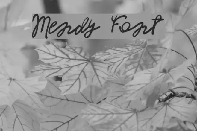 Mendy Example 3