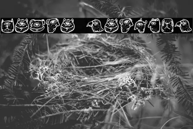 Menge Regular Font examples