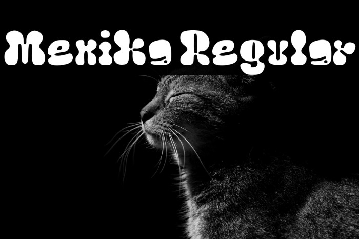 Menika Regular Example 1