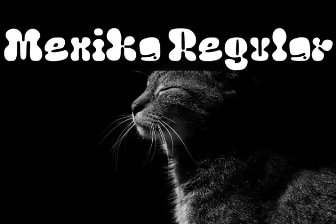 Menika Regular Example 1