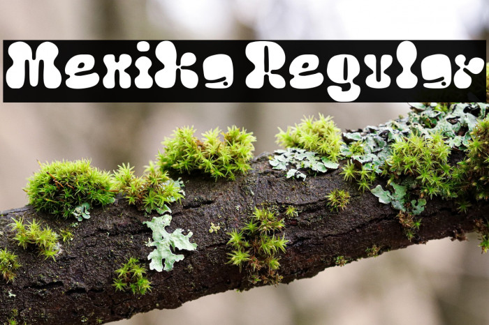 Menika Regular Example 2