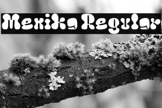 Menika Regular Example 2