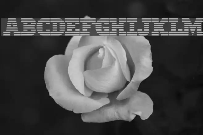 MeninBlue フォント examples