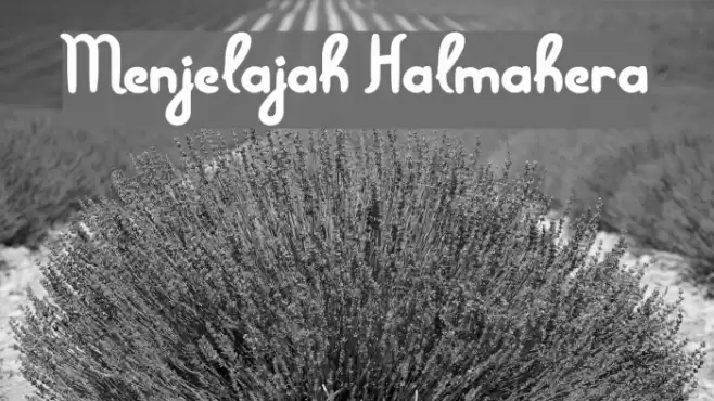 Menjelajah Halmahera Fonte examples